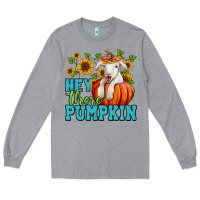 Heather Grey Hey there pumpkin Lamb Long Sleeve Tee - NancyCooperArtShop