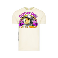 Vintage Arctic doge coin to the moon 80's retro sunset Vintage Tee - Jasminsmagicworld