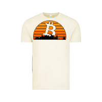 Vintage Arctic bitcoin new orleans retro sunset Vintage Tee - Jasminsmagicworld