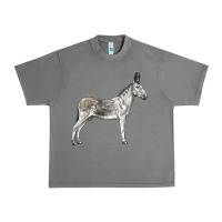 Tornado Andalusian Donkey Urban Heavy Tee - LillyAllenDesigns