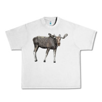 Lunar Rock Moose Buck Deer Urban Heavy Tee - LillyAllenDesigns