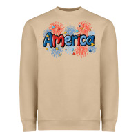 America Heavyweight Sweatshirt | Teevron