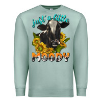Seafoam Just a Little Moody Premium Sweatshirt - texasbilliewilder