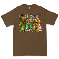 Cacao i roared my way through 100 days Premium Tee - RacoonDesign