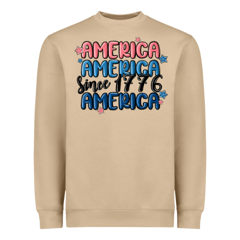 America Since 1776 Heavyweight Sweatshirt by MaliasSmallBusiness | Teevron