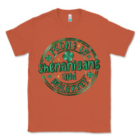 Copper prone to shenanigans and malarkey Classic Tee - MaliasSmallBusiness