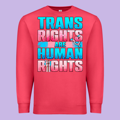 Trans Rights Are Human Rights Premium Sweatshirt Designed By Nancycooperartshop