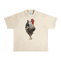 Sandshell cream legbar rooster Urban Heavy Tee - LillyAllenDesigns