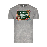 Cloud Rock I tacked 100 days school Baseball Vintage Tee - NancyCooperArtShop