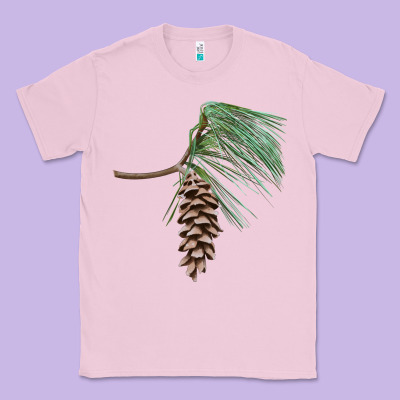 White Pine Cone Classic Tee Designed By Lillyallendesigns