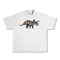 Lunar Rock Triceratops Horridus Urban Heavy Tee - LillyAllenDesigns