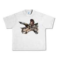 Lunar Rock Triceratops Horridus Face Urban Heavy Tee - LillyAllenDesigns