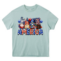 America Gnomes 4th Of July Heavy Core Tee | Teevron