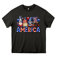 Asphalt America gnomes 4th of July Heavy Core Tee - CowGirlArtShop