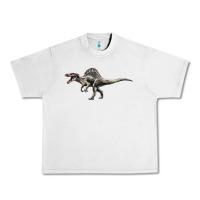Lunar Rock Spinosaurus Urban Heavy Tee - LillyAllenDesigns