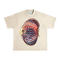 Sandshell Discus Fish Urban Heavy Tee - LillyAllenDesigns