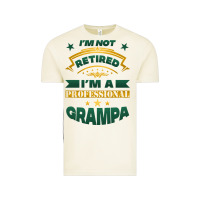Vintage Arctic i'm not retired i'm a professional grampa Vintage Tee - Jasminsmagicworld