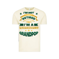 Vintage Arctic i'm not retired i'm a professional grandpop Vintage Tee - Jasminsmagicworld