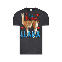 Vintage Black All American Llama Vintage Tee - LillyAllenDesigns