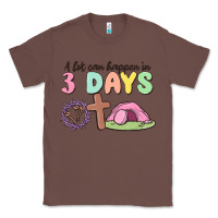 Chestnut a lot can happen in 3 days Classic Tee - MaliasSmallBusiness