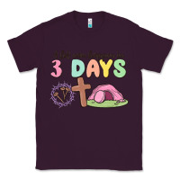 Plum a lot can happen in 3 days Classic Tee - MaliasSmallBusiness