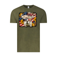 Vintage Olive 4th of july llama Vintage Tee - LillyAllenDesigns