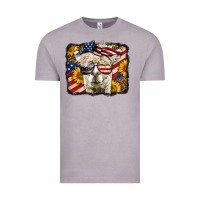 Vintage Zinc 4th of july llama Vintage Tee - LillyAllenDesigns