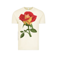 Vintage Arctic Ketchup And Mustard Rose Vintage Tee - LillyAllenDesigns