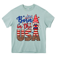 Arona Born in the USA gnome Heavy Core Tee - Neo Western