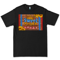 Usa Sweet And Sassy Skinny Metal Can Holder Premium Tee | Teevron