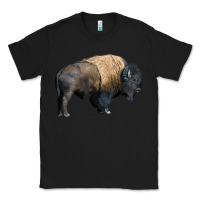 Black Bison Buffalo Classic Tee - LillyAllenDesigns
