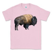 Bubblegum Pink Bison Buffalo Classic Tee - LillyAllenDesigns