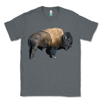Charcoal Heather Bison Buffalo Classic Tee - LillyAllenDesigns