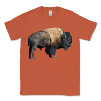 Copper Bison Buffalo Classic Tee - LillyAllenDesigns