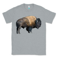 Heather Grey Bison Buffalo Classic Tee - LillyAllenDesigns