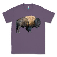 Lavender Bison Buffalo Classic Tee - LillyAllenDesigns