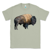 Matcha Bison Buffalo Classic Tee - LillyAllenDesigns
