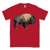 Red Bison Buffalo Classic Tee - LillyAllenDesigns