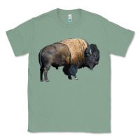 Sage Bison Buffalo Classic Tee - LillyAllenDesigns