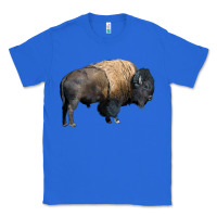 True Royal Bison Buffalo Classic Tee - LillyAllenDesigns