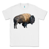 White Bison Buffalo Classic Tee - LillyAllenDesigns