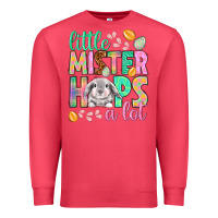 Cardinal little mister hops a lot Premium Sweatshirt - NancyCooperArtShop