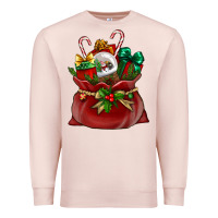 Pale Pink Chrismas Santa claus bag Premium Sweatshirt - NancyCooperArtShop