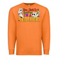 Carrot You Can't Scare Me I'm a Teacher Premium Sweatshirt - texasbilliewilder