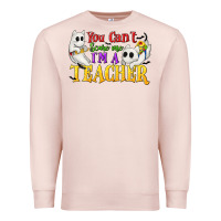 Pale Pink You Can't Scare Me I'm a Teacher Premium Sweatshirt - texasbilliewilder