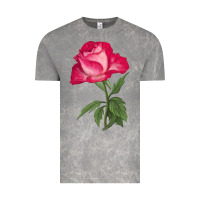 Cloud Rock Love At First Sight Rose Vintage Tee - LillyAllenDesigns