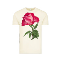 Vintage Arctic Love At First Sight Rose Vintage Tee - LillyAllenDesigns