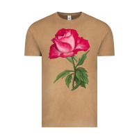 Vintage Camel Love At First Sight Rose Vintage Tee - LillyAllenDesigns