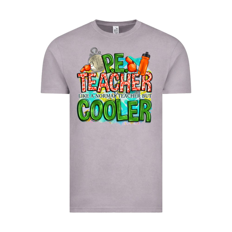 Pe Teacher But Cooler Vintage Tee by NancyCooperArtShop | Teevron