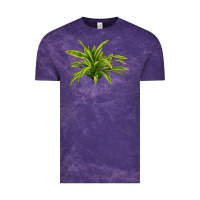 Cloud Purple Lemon Lime Dracaena Leaf Vintage Tee - LillyAllenDesigns